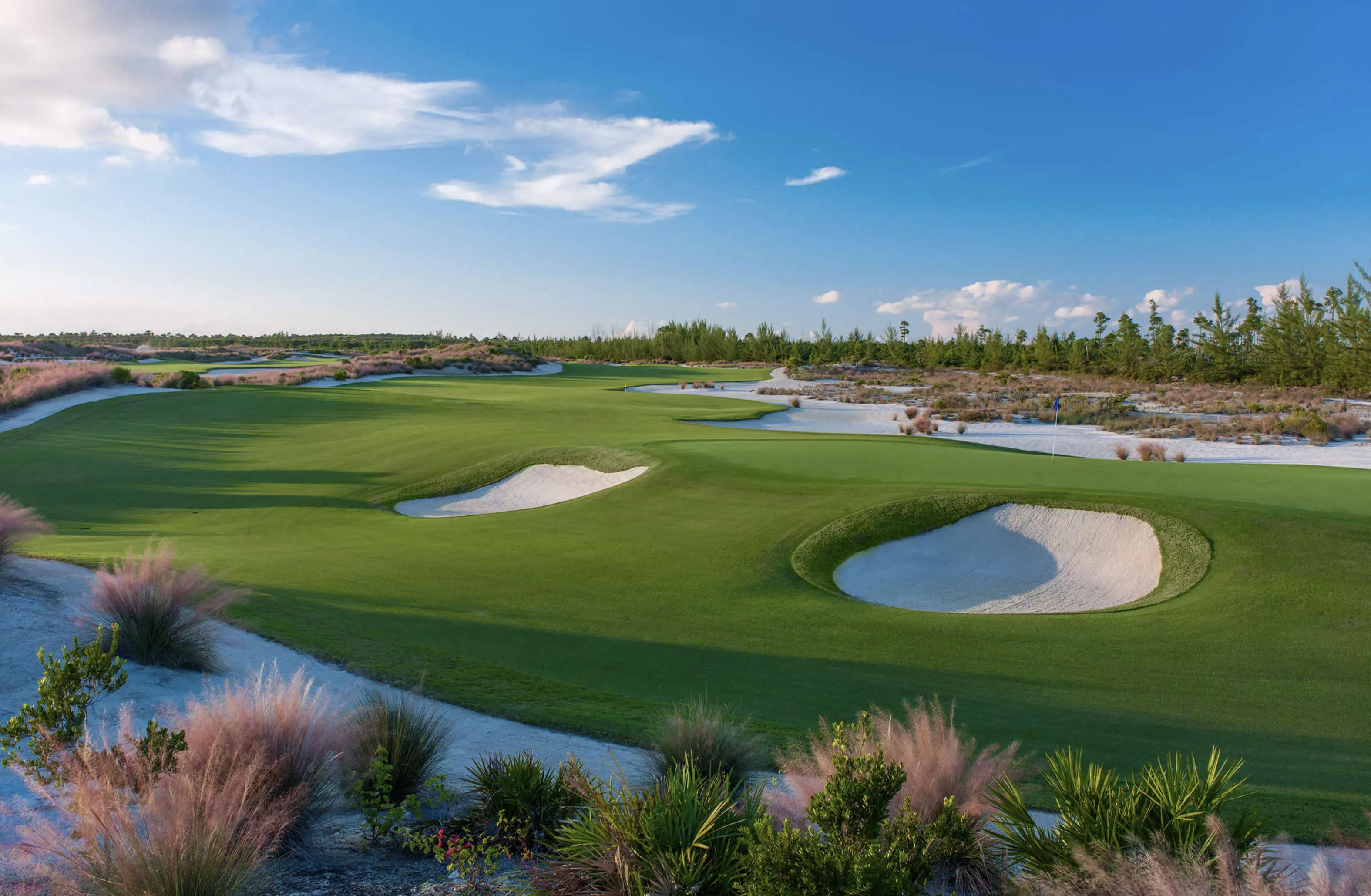 Albany Golf Course - Bahamas