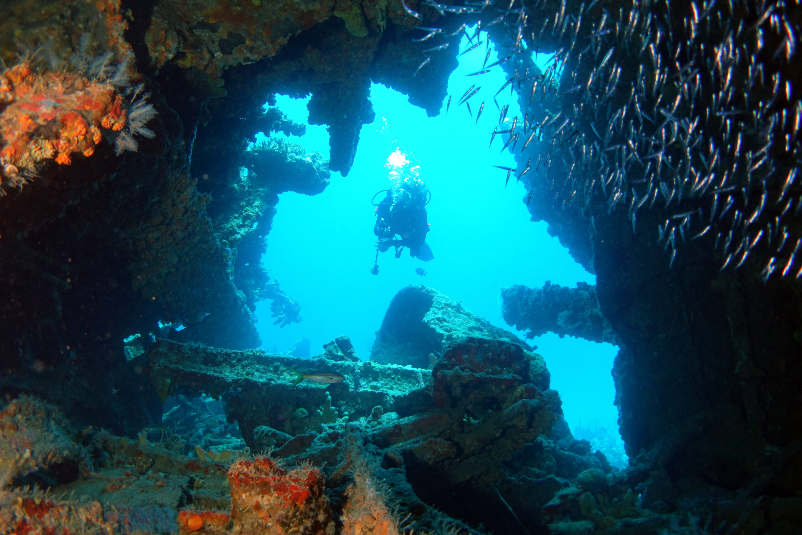 Caribbean Wreck Dive