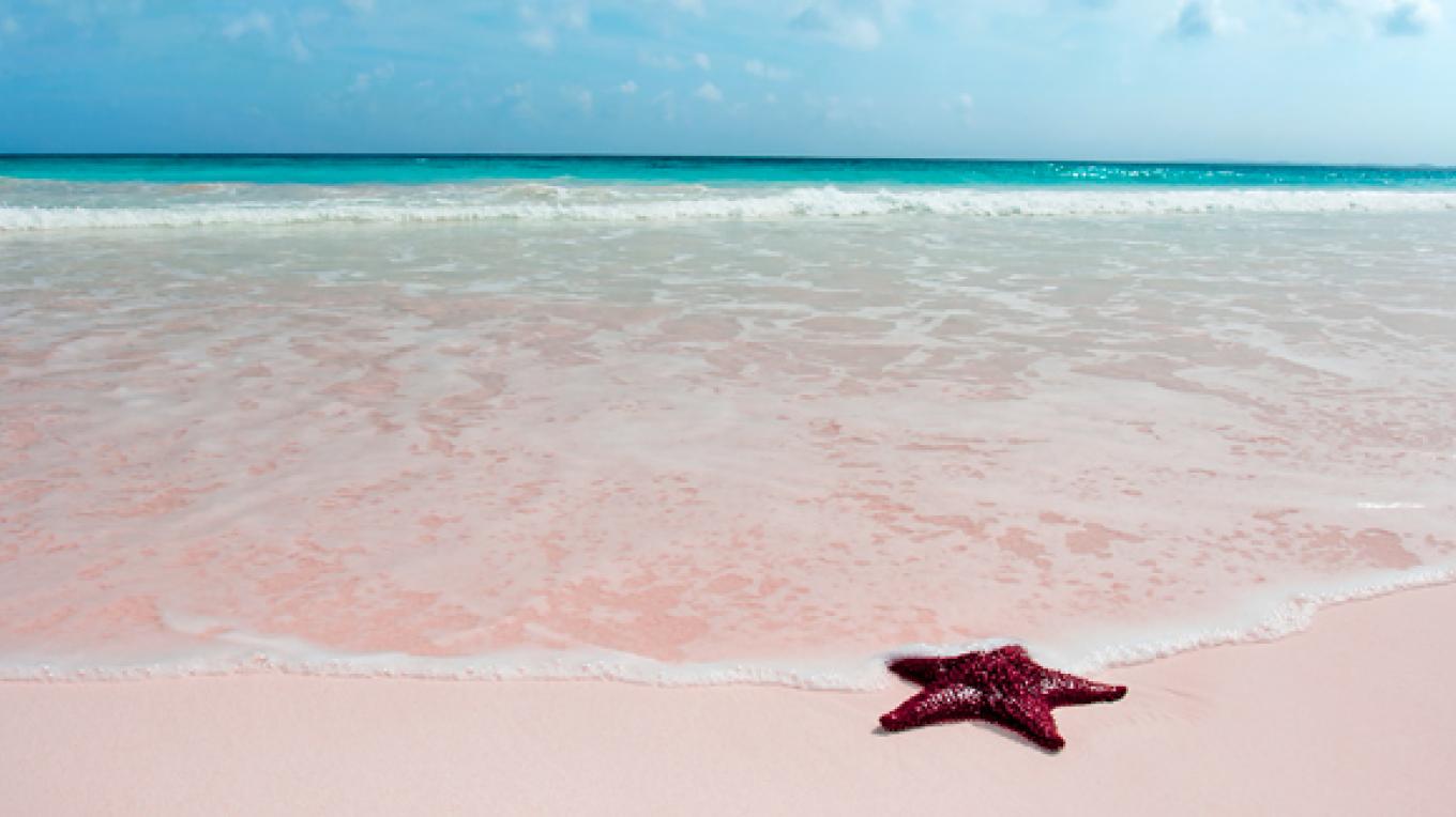 Pink Sands Beach, Harbour Island, Bahamas