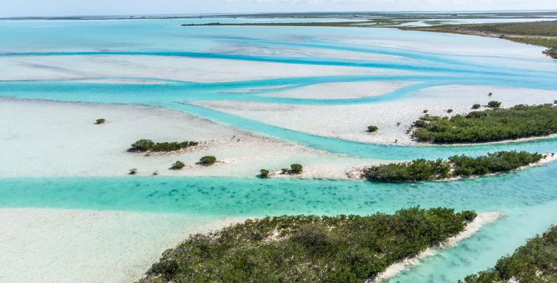 Bahamas West Side National Park